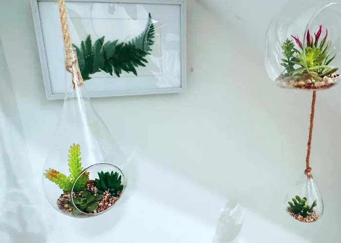 Hanei * לה לגונה