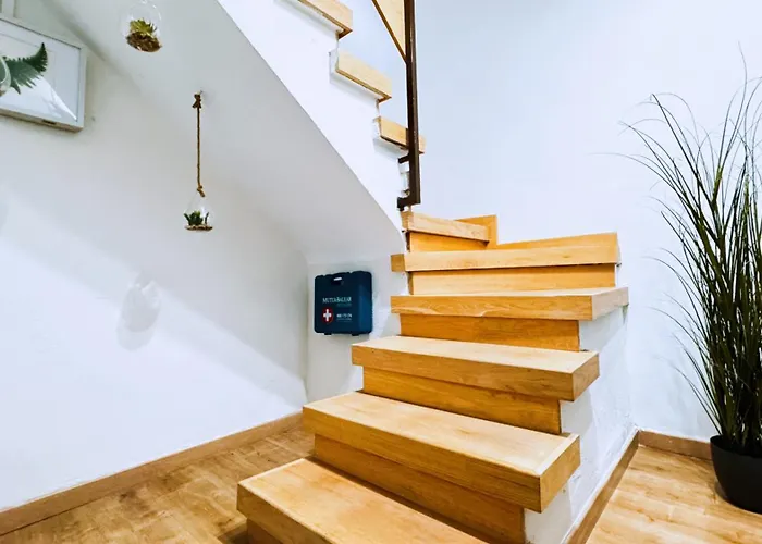 Hanei * La Laguna (Tenerife)