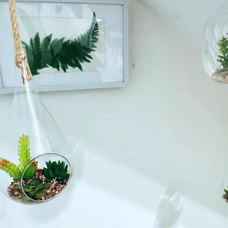 Hanei * Сан-Кристобаль-де-Ла-Лагуна